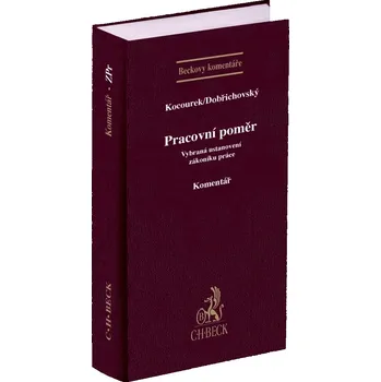 Pracovní poměr - Tomáš Dobřichovský, JUDr. Jiří Kocourek