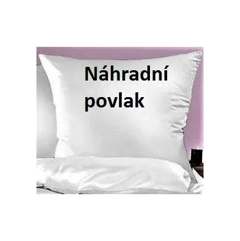 Povlak na polštářek Damaškový povlak 40x40cm