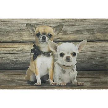 Rohožka Podlahová rohožka Čivava - 75*50*1cm