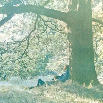 Zahraniční hudba Plastic Ono Band - Ono Yoko [LP]