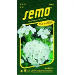 SEMO Pelargonie páskatá bílá 0,05 g