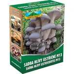 Nohel Garden M13 Sadba hlívy ústřičné…