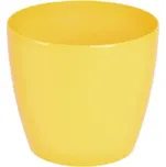 Orion Magnolia 21 cm