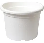 Plastia Narcis 19 cm