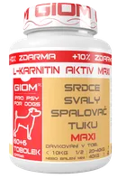 GIOM L-Karnitin Aktiv Maxi 60 tbl.