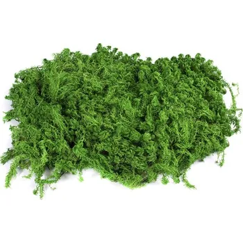 umělá květina Stabilizovaný mech Sphagnum plochý 1,5 kg - zelený (flat mech)