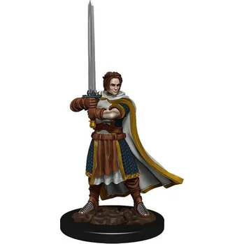 Desková hra WizKids D&D Icons of the Realms: Premium Painted Figure - Human Cleric Male