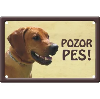 Plechová cedule Smal Výstražná cedule: Rhoedéský ridgeback I