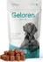 Kloubní výživa pro psa a kočku Contipro Geloren Dog L/XL