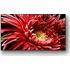 Televizor Sony Bravia 55" LED (KD55XG8505BAEP)