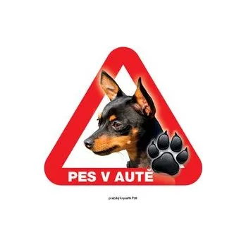 Grel nálepka na sklo pozor pes v autě pražský krysařík