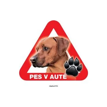 Značení Grel nálepka na plech pozor pes v autě ridgeback