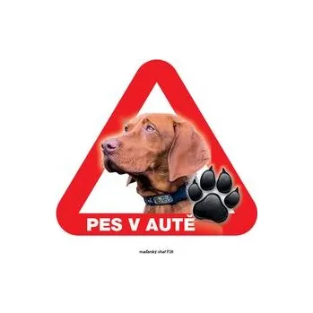 Značení Grel nálepka na sklo pozor pes v autě maďarský ohař