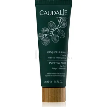 Pleťová maska Caudalie Masks & Scrubs čisticí maska proti nedokonalostem pleti 75 ml