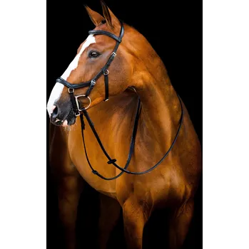 Uzdečka Rambo Micklem Deluxe Competition 2, s otěžemi, černá PONY