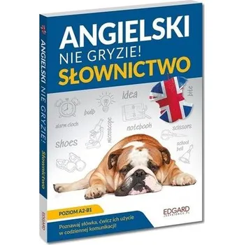 Cizí jazyk Angielski nie gryzie! Słownictwo - Jachimiak Magda