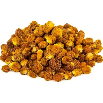 Sušené ovoce ProdejnaBylin Mochyně Peruánská (Physalis) natural bez přidaného cukru a SO2 váha: 1000g