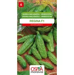 Osiva Moravia Regina F1 okurka…