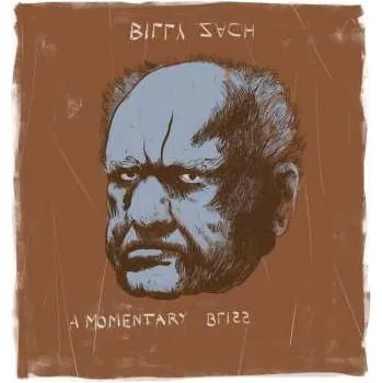 Zahraniční hudba LP Billy Zach: A Momentary Bliss 2024