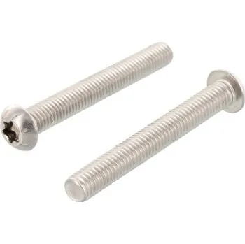 Šroub Nerezový šroub ISO 7380-1 A4 M 12X25/25 TX55