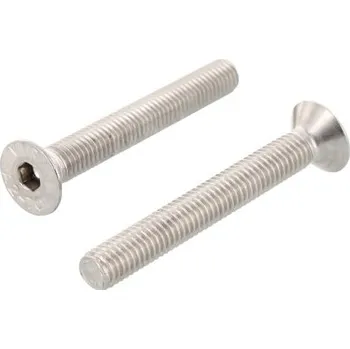 Šroub Nerezový šroub ISO 10642 A4 M 2X3
