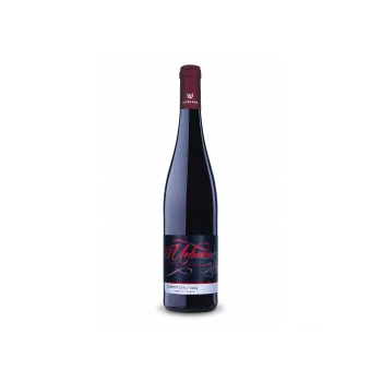 Víno Cabernet sauvignon 2020 pozdní sběr, Vinařství U Urbana 0,75l