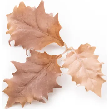 Airsoft NOVRITSCH Novritsch LEAF CAMO 3D listy LC5, 50 ks - Ivory