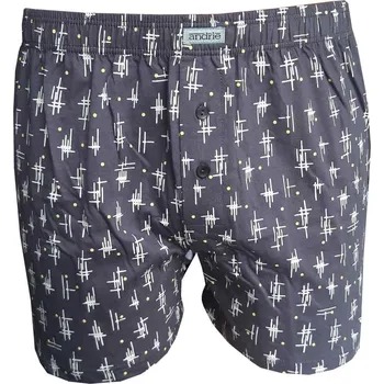 Trenýrky Andrie PS 5724 šedé pánské trenýrky Barva: šedá, Velikost: M