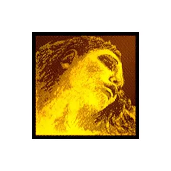 Housle Pirastro Evah Pirazzi Gold 415421 - struna G-Au