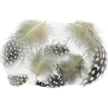 Nailee Peříčka paví očka hnědá