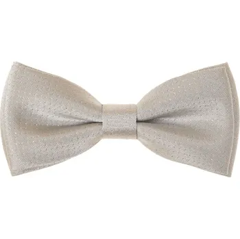 Motýlek Motýlek Avantgard s kapesníčkem - stříbrný / ivory