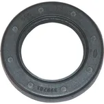 Briggs & Stratton 399781S