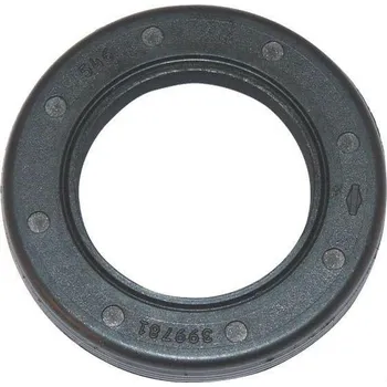 Těsnění motoru Briggs & Stratton 399781S