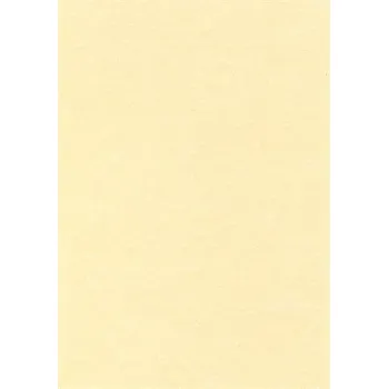 Papír pro tiskárny Apli Papír, textura pergamen champange, A4, 95 g, APLI ,balení 100 ks 25977