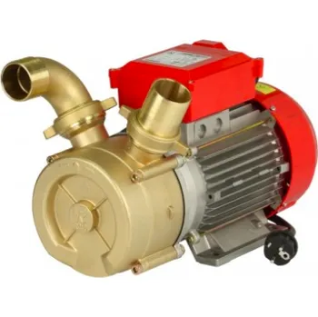 Čerpadlo Čerpadlo bronzové Rover 40-ČB/A40 víno,mléko,nafta