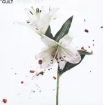 Hidden City - The Cult [CD] 