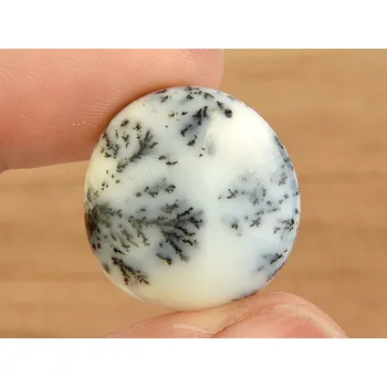 Přírodní kámen Opál s dendrity z Indie 6g