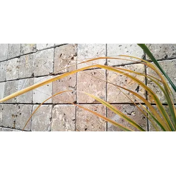 Obkladové pásky Travertin Velikost: 10x10 cm, úprava: neplněný, broušený