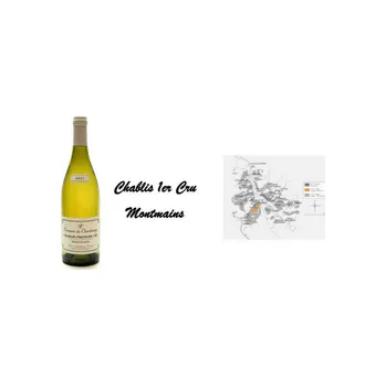 Víno Domaine de Chardonnay Chablis Premier cru - Montmains 2019 Domaine du Chardonnay