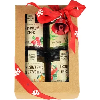 Čaj Madami Dárková krabička se 4 druhy šťavnatých čajů 4x 55 ml