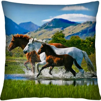 Polštář Polštář s motivem koně 37 Mybesthome 40x40 cm Varianta: Povlak na polštář s prošívanou výplní, 40x40 cm