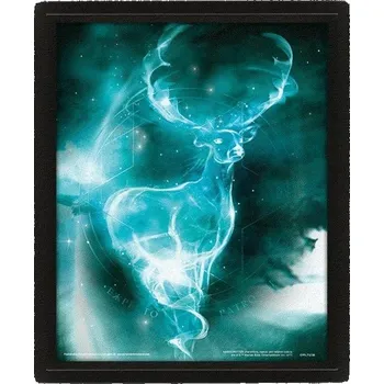Obraz EPEE Harry Potter 3D obraz 23,4 x 28,4 cm Expecto Patronum