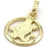 Zlatý přívěsek znamení vodnář v kruhu 1,15g