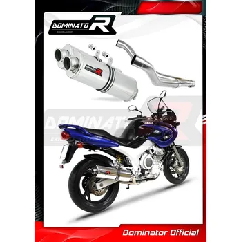 Výfuk pro motocykl Laděný výfuk DOMINATOR YAMAHA TDM 850 91-01 OVÁLNÉ KONCOVKY