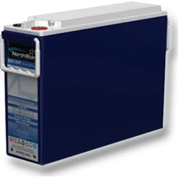 Trakční baterie Staniční (záložní) akumulátor NorthStar NSB 100FT Blue Battery