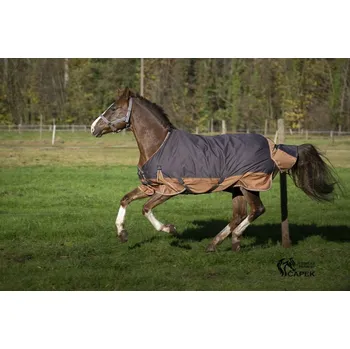 Deka pro koně Deka výběhová EquiTheme -TYREX AISANCE 600D 0G- - Šedá/Hnědá - 155cm