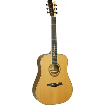 Akustická kytara Gilmour Woody WN