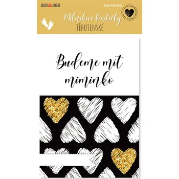 Stil Calendars Budeme mít miminko milníkové kartičky