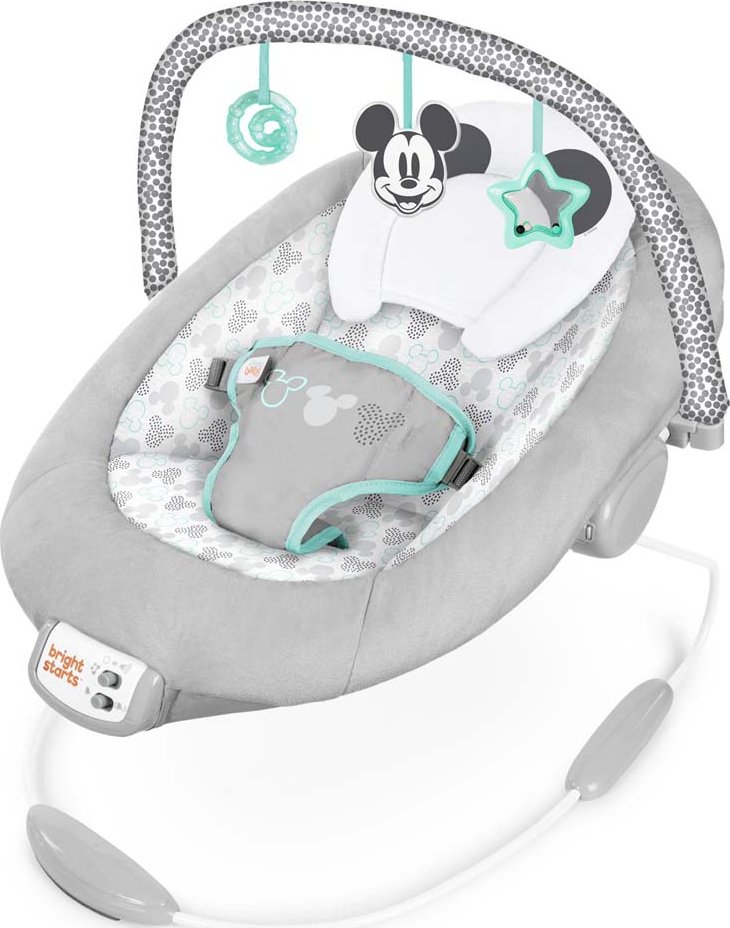 Sdraietta Minnie Garden Delights Bright Starts Lehátko Vibrující S