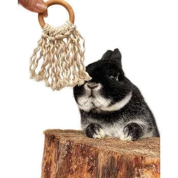 Bio Miro Lapač snů - hračka pro králíky, morčata a činčily